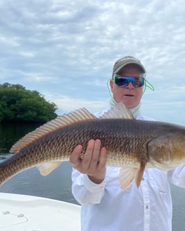 Grouper and Snapper trips