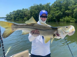 Grouper and Snapper trips