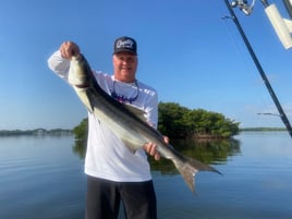 Grouper and Snapper trips