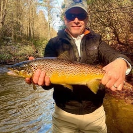 Appalachian Trout Slam