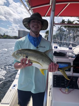 Inshore Florida Fish Frenzy!