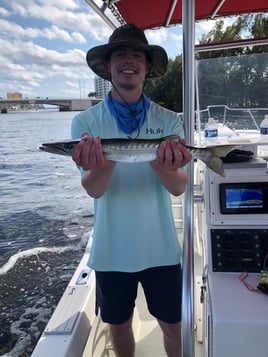 Inshore Florida Fish Frenzy!