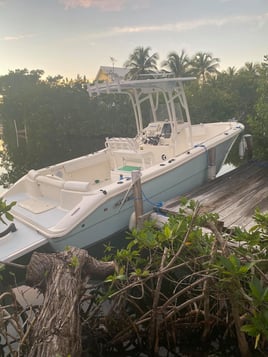 Epic Fish and Snorkel Combo