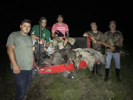 Thermal Pig Hunts