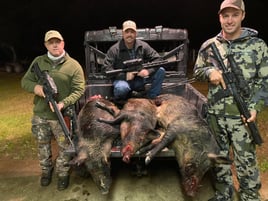 Thermal Pig Hunts