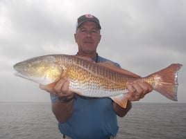 Rockport Redfishing