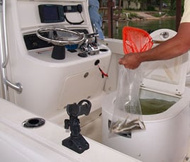 Lake Buchanan Striper Fishing Trip