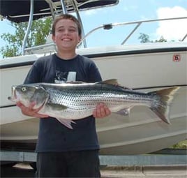 Lake Buchanan Striper Fishing Trip