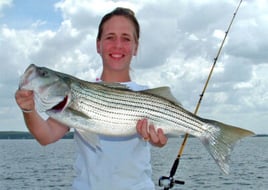 Striped Bass Fishing in Buchanan Dam, Texas