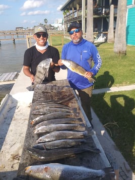 Rockport Airboat Redfishing!