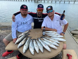 Rockport Airboat Redfishing!