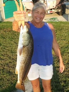 Rockport Airboat Redfishing!