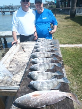 Rockport Airboat Redfishing!