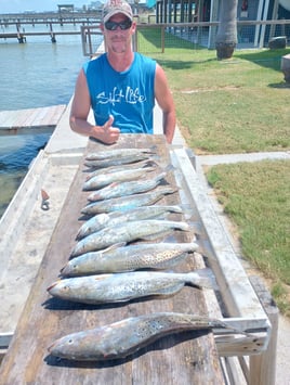 Rockport Airboat Redfishing!