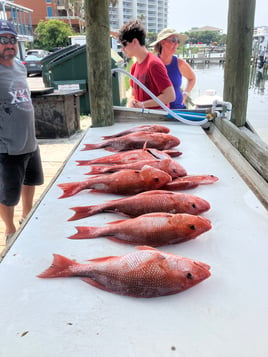 Redsnapper