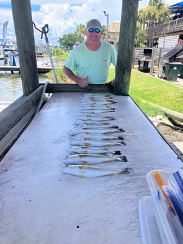 Florida Panhandle Inshore