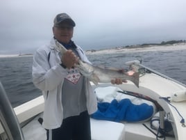 Florida Panhandle Inshore