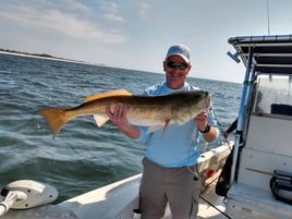 Florida Panhandle Inshore