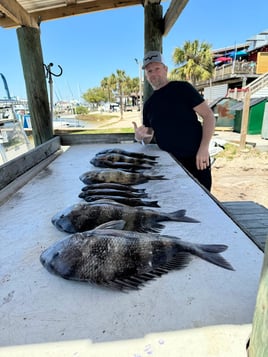 Florida Panhandle Inshore