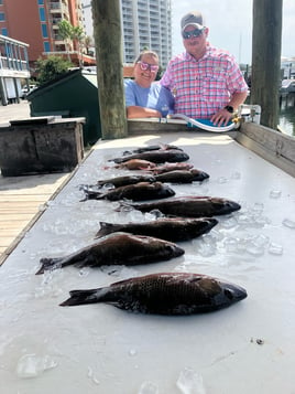 Florida Panhandle Inshore