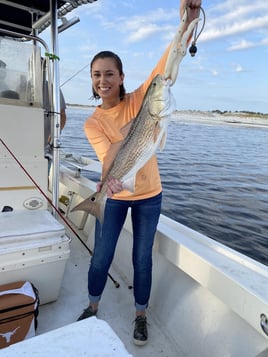 Florida Panhandle Inshore