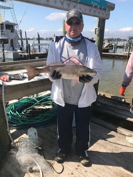 Florida Panhandle Inshore