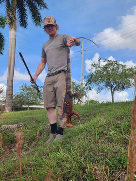 Iguana Hunting in Miami Beach, Florida