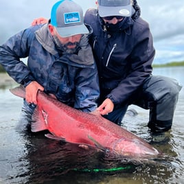 Kasilof River King Salmon Fishing Trip