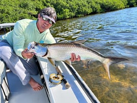 Tarpon Fishing in Miami, Florida