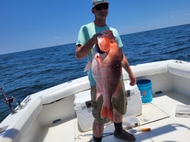 Offshore snapper