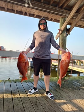 Offshore snapper