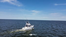 5 or 6 hour bottom/trolling trip