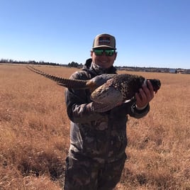 Chasing Pins in North Texas!