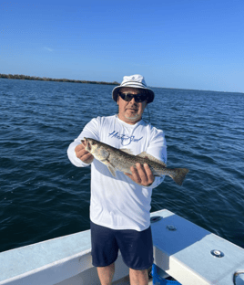 Tampa Bay Toads!