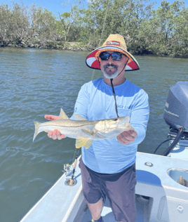 Tampa Bay Toads!