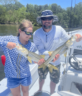 Tampa Bay Toads!