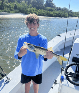 Tampa Bay Toads!