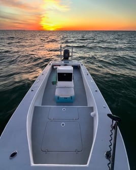 Tampa Bay Toads!