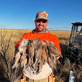 Texas Panhandle Quail Hunt w/ Lodging