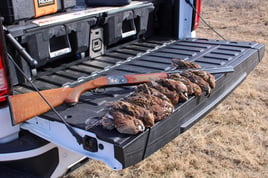 Texas Panhandle Quail Hunt w/ Lodging