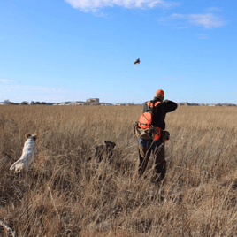 Texas Panhandle Quail Hunt w/ Lodging