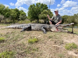 Trophy Gator Hunts