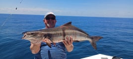 Cobia Fishing in Port Isabel, Texas