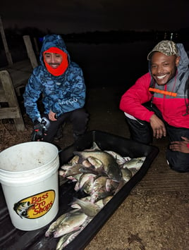 Fox Chain O' Lakes Ice Fishing