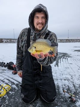 Fox Chain O' Lakes Ice Fishing