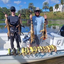 Iguana Hunting in Lantana, Florida