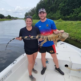 Iguana Hunting Insanity