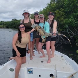 Iguana Hunting Insanity