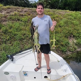 Iguana Hunting Insanity