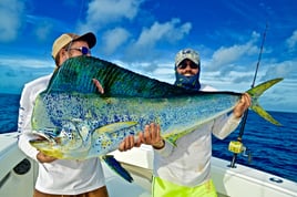 Mahi Mahi Fishing in Fort Pierce, Florida